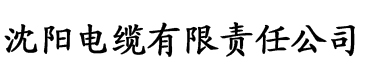 亚洲精品艺术一区二区三区电缆厂logo